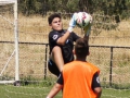 aaDSC03833