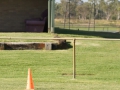 aaDSC04319