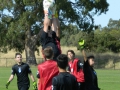 aaDSCN2315