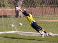 bbDSC01340