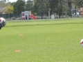 aaDSCN8648