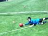 asmallimg_1528