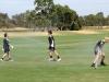 asmallimg_1575